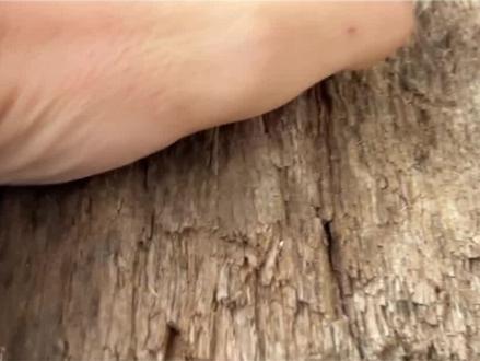 缅花只看料,无出生证明。这句话,您什么时候才懂🥹
#红木家具 #明式家具 #缅甸花梨 #大果紫檀 #大红酸枝