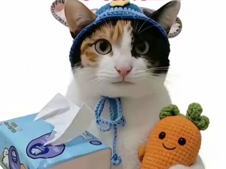 洛克王国了不起的天分猫咪P图教程!洛克王国了不起的天分p图 洛克王国了不起的天分p图素材 洛克王国了不起p图素材 洛克王国了不起的天分猫咪P图教程 洛克王国猫咪P图教程 洛克王国猫咪P图教程#洛克王国了不起的天分 #洛克王国P图教程 #醒图焚决的神 #质感美学 #了不起的天分P图