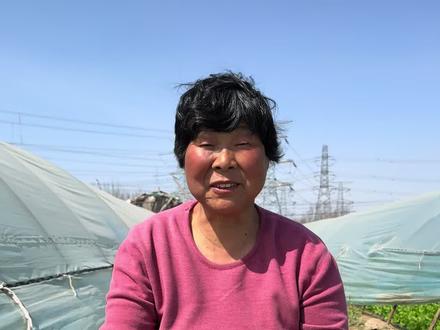 花盆里面种甘蔗#种植小技巧 #三农 #关注我一起学种菜 #农业种植 #种菜 @DOU+小助手 @DOU+上热门