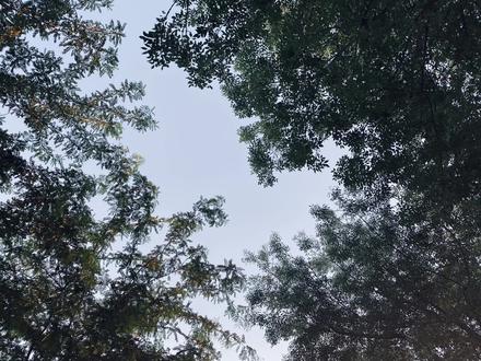 平行时空的李子维吗?
可是真的好委屈~
视频原声是@精灵球收七龙珠 他好温柔