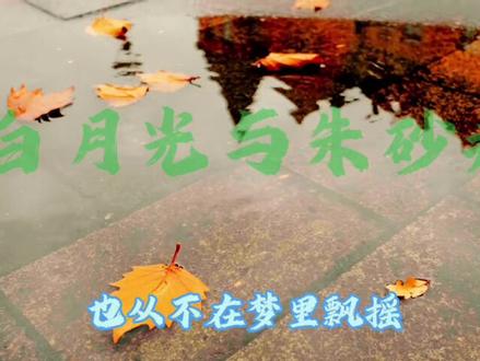 盘点十首超好听的破亿宝藏歌曲!#音乐分享 #音乐推荐 #听歌