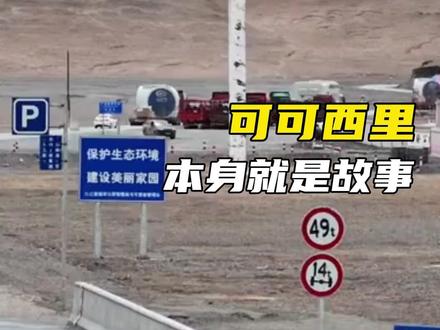 看了生命树,想去青海的心达到了顶峰#青海 #可可西里 #生命树素材来源@青海羊翻过📷