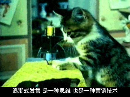 发售的本质‼️1⃣#读书 #豆包知道