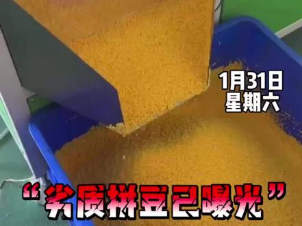 含甲醛的拼豆危害不可忽视
#拼豆 #手工diy#哆维兔拼豆#甲醛#曝光