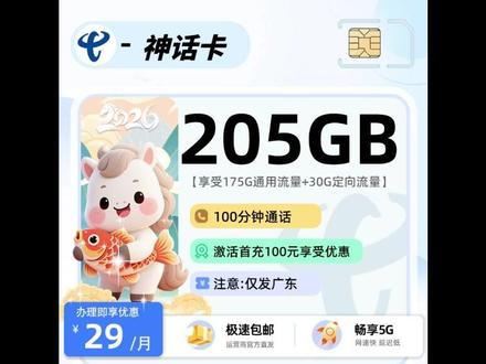 广东神话卡火了!29元205G真相到底能不能用? 广东 #流量卡 #审核 #运营商 #避坑 #广东流量王