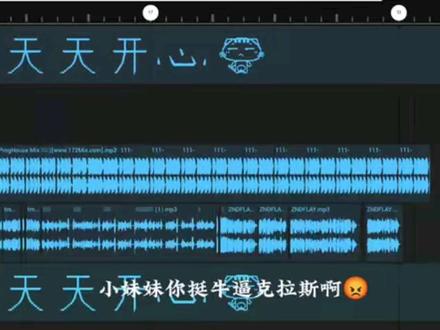 小妹妹你挺牛逼克拉斯啊😡. #DJ不二 #DJ不二Remix