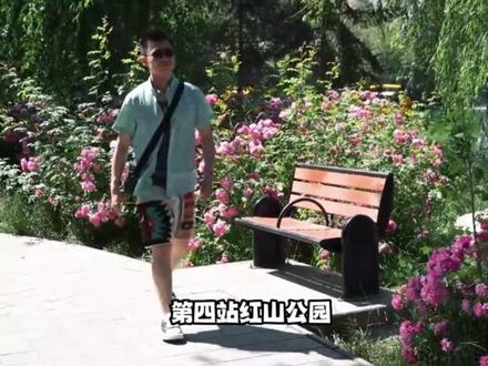 如何一天时间玩转乌鲁木齐,超详细一日游攻略!#新疆 #新疆是个好地方 #旅游攻略 #旅游推荐官 #旅游大玩家