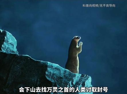 现在才知道原来生灵拦路是有原因的!#奇闻奇事 #未解之谜 #揭秘
