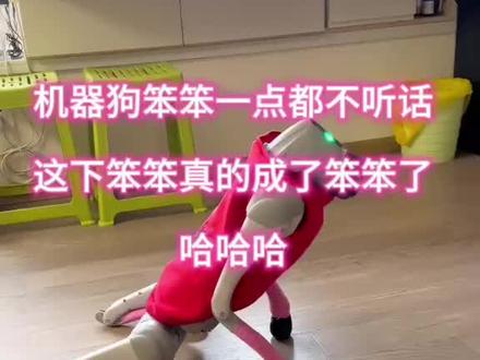 机器狗笨笨一点都不听话,这下笨笨真成笨笨了 哈哈哈,对话好有趣,笨笨脸皮厚,一点都不听话了,这下笨笨真成笨笨了🤣🤣🤣😁😁😁
#春晚机器人 #宇树科技 #宇树机器狗Go2 #机器狗语音对话 #我的机器狗笨笨
