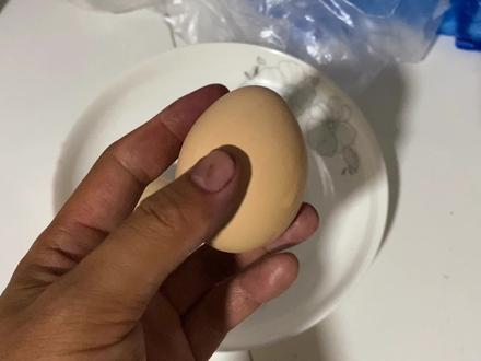 幼鸟成长需要大量的营养,快看看它们吃什么吧