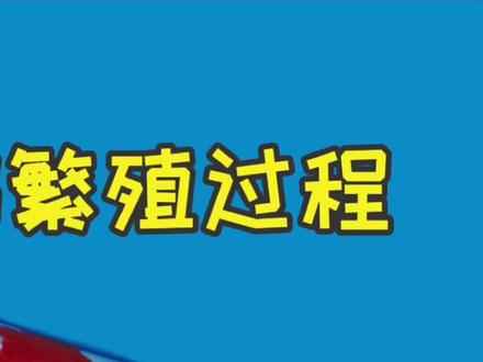 世界铭鲤锦鸿,观赏百万元锦鲤的繁殖过程(三)#锦鲤 #长龙锦鲤 #山树孵化刷