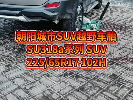 朝阳SU318a花纹 经济型