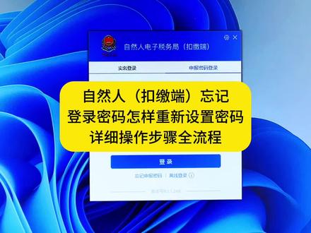 自然人(扣缴端)忘记登录密码怎样重新设置密码详细操作步骤全流程#个体户报税全流程#一对一手把手教做账报税全流程#会计实操秘籍📚#初级会计
