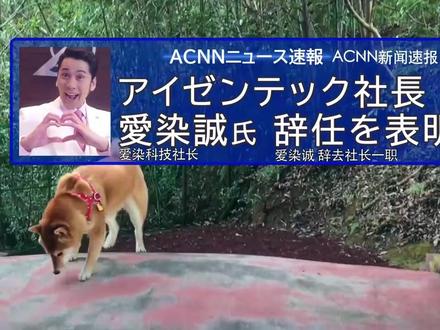 罗布奥特曼:美剑莎姬轻松得到爱染集团,爱染诚失去了一切