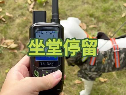 户外实测,坐堂停留#tr大山定位