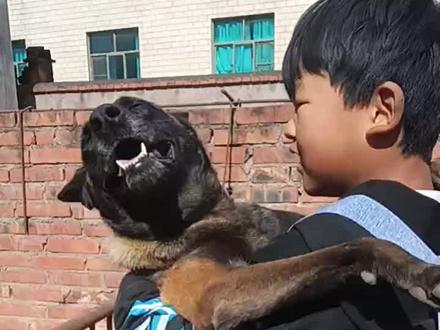 快打扫卫生,不要玩了#包儿子 #神界