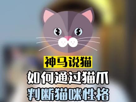 如何通过猫爪判断猫咪性格#科学养宠攻略 #宠物知识