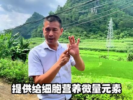 广西巴马山泉水来自哪里,有什么好处,听听当地专家怎么说?#广西巴马长寿之乡 #山泉水