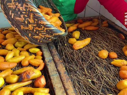 我烘#四明山番薯枣子 的技术还没过关,每次都烘焦,妈妈心疼了#纯天然绿色食品 #童年味道 #农村美食 #纯天然无添加 #来过来尝尝这个