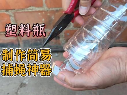 如何消灭苍蝇呢?捕蝇神器怎么制作?这个视频来告诉你塑料瓶制作#捕蝇神器 #废物利用 #变废为宝 #亲子实验 #捕苍蝇 #妙招分享