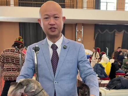 什么是真正的赛级雪纳瑞 #赛级雪纳瑞 #雪纳瑞 #迷你雪纳瑞 #迷你雪纳瑞犬 #赛级雪纳瑞犬