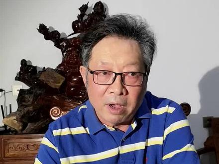 詹森鸽特点和妙用#鸽子 #赛鸽 #赛鸽思想高地