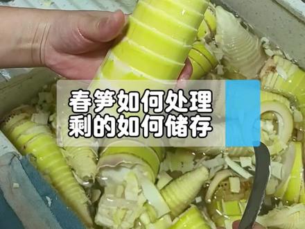 春笋的处理方式➕储存小妙招 把我几年挖笋,处理➕储存的经验,分享给准备去挖笋的小伙伴#春笋储存 #春笋的剥皮和储藏 #分享一个做饭灵感 #春笋