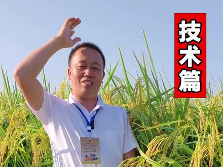 稗子,千金子,马唐特效除草剂#农业种植 #三农 #除草剂 #除草