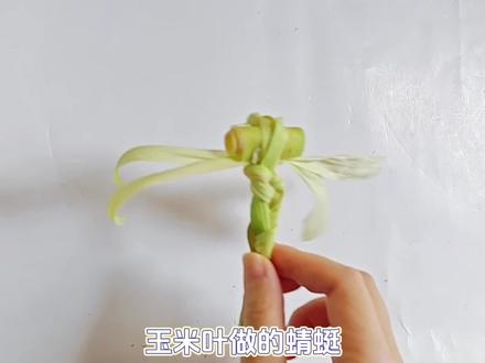 玉米叶做蜻蜓#大自然手工作品 #玉米叶编织 #玉米叶 #蜻蜓手工编织教程 #玉米手工