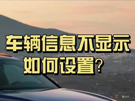 车辆信息不显示,该如何设置呢?#安卓导航 #威向