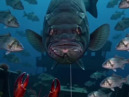 青鱼砸场子第六集:青鱼王复仇--切线、毁饵、毁漂。钓鱼佬败退,钢丝线轴亮出--第七集,科技与狠活! #野钓青鱼 #青鱼打窝 #鱼成精了 #钓鱼佬永不空军 #钓鱼佬的高光时刻