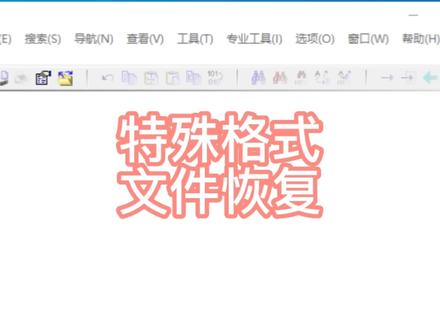 恢复不常见特殊格式文件必备技巧,也是winhex强大功能之一。 #硬盘 #硬盘数据恢复 #硬盘故障