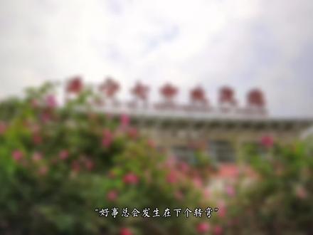 遂宁七中2022年高一录取分数线
文化:568.5
音乐特长生:415.5
体育特长生:484
美术特长生:415.5@遂宁市第七中学校