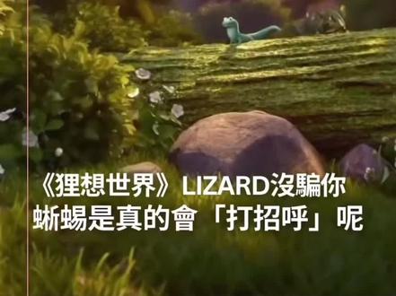 真的會和你打招呼👋🏻#蜥蜴