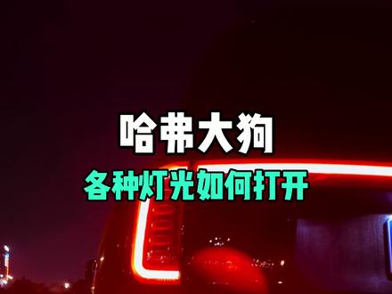 哈弗大狗各种灯光如何打开,收藏起来随用随看#哈弗大狗#哈弗汽车