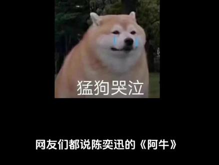 #阿牛 #一首歌一个故事 用《阿牛》歌词写一个故事,多少人已是歌中牛