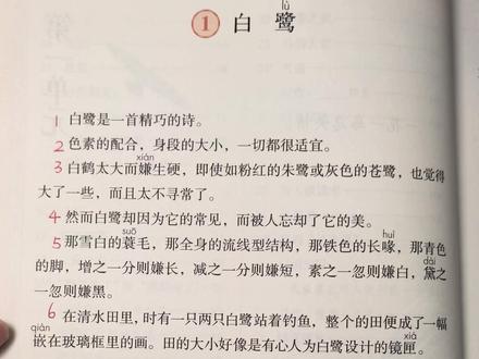 #五年级上册语文 五年级上册第一课《白鹭》精讲