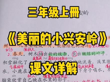 三上语文:《美丽的小兴安岭》课文详解了解文章结构欣赏春夏秋冬 #小学语文 #创作者扶持计划 #三年级语文 #知识分享