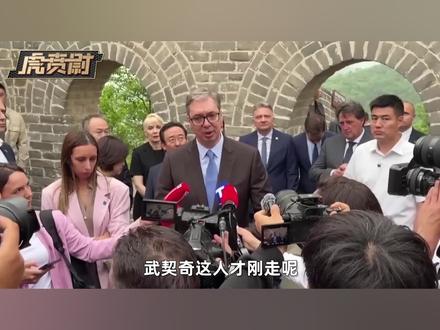 武契奇一走没人镇得住场面,亲西方和亲俄两派马上闹翻天 #全球创作者计划 #零基础看懂全球