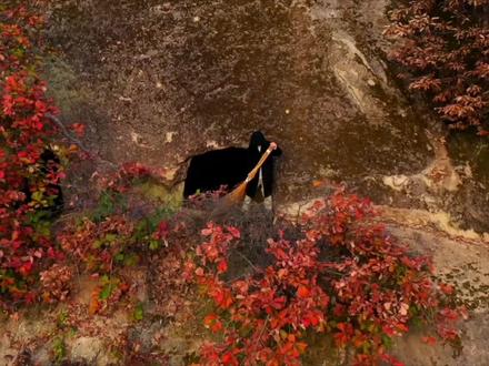 南山空同开讲终南隐士:终南山隐士众多,你为什么遇不到一个?