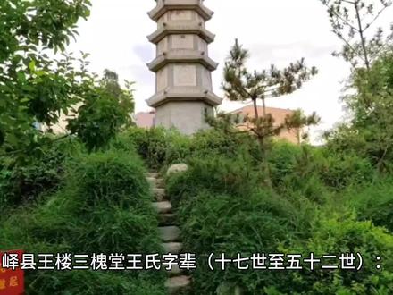 #王氏 #王氏家族 #王氏文化 山东省部分王氏字辈汇总