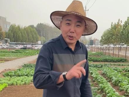 烟头别再乱扔了!在农业中也有大用处!#种菜小技巧 #农业技术 #农业种植 @抖音广告助手