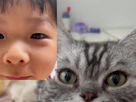这才明白原来猫咪为了记住你 不止是记住你的味道还会记得你的声音