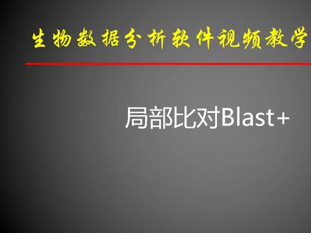 13-Blastplus