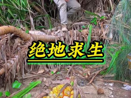 #荒岛求生 #绝地求生 #户外 ,搭建庇护所,采摘野菠萝