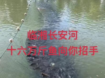 诚信经营。不玩虚假
赚良心钱 交天下友 #原来钓鱼才是抖音运动顶流