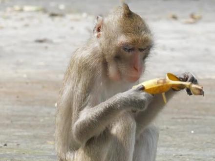 车身自带智能解锁#爱玛#电动车