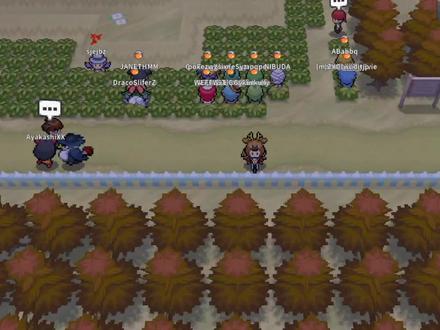 #pokemmo #精灵宝可梦捡拾刷级带队大哥推荐!
