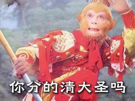 到底哪个是大圣?#搞笑 #大圣 #孙悟空 #科普 #猴子