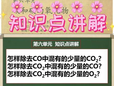 第17讲:知识点讲解,气体的除杂,不增不减易分离 #中考化学知识点 #中考化学 #备战中考